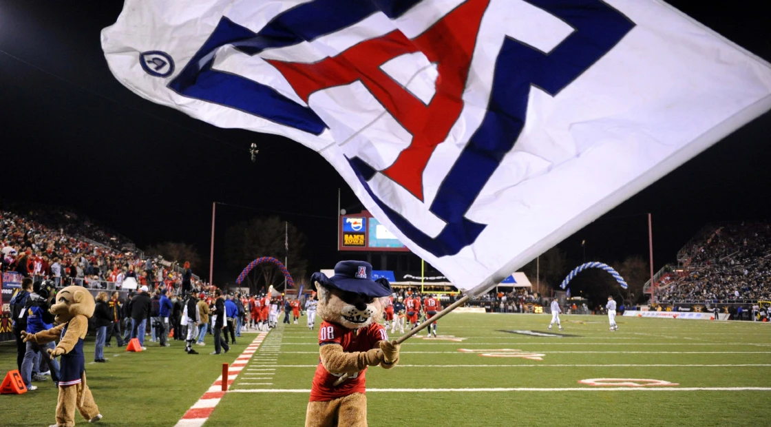 Most Searched Mascots In Arizona Most Searched Mascots In Arizona